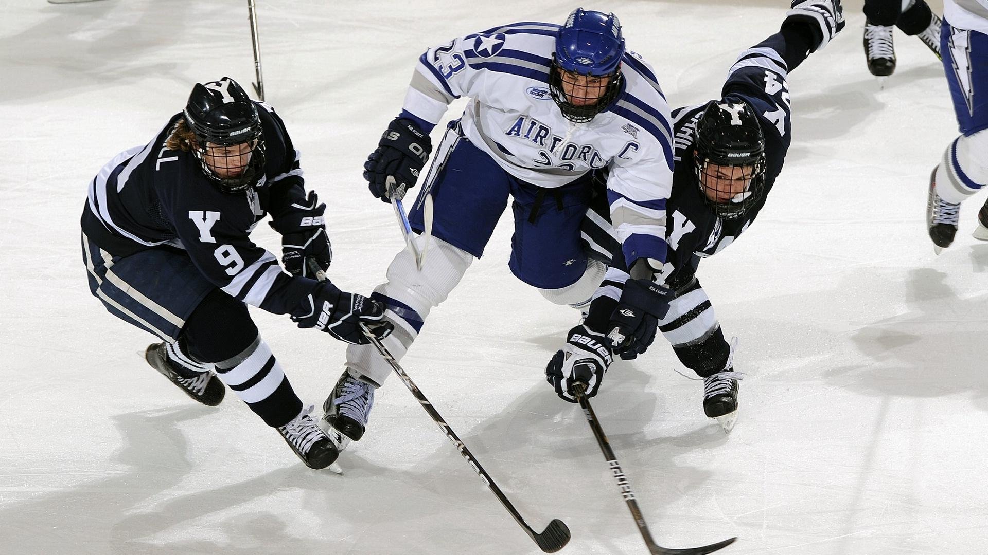 大学生运动健康档案数字化管理平台设计,运动健康管理系统