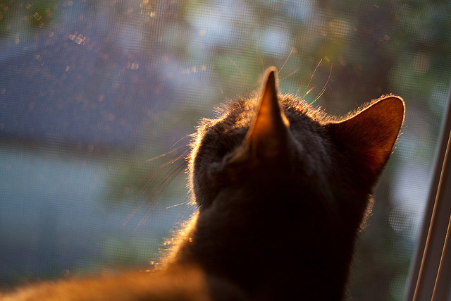 开云综合服务-_乡村振兴：农村特色网球节点亮乡村生活_，农村网球场